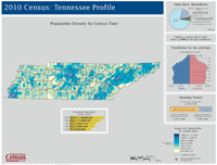 tennessee demographic profile