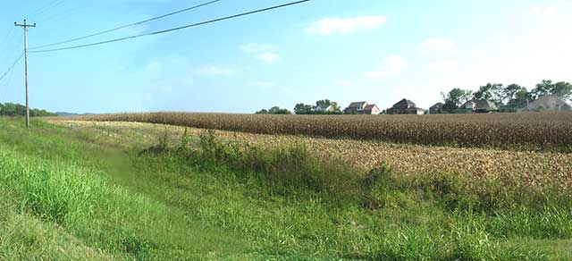 panorama crops