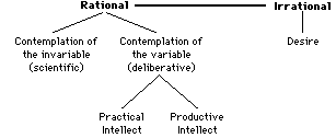 Aristotle - Rational & Irrational Faculties