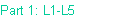 Part 1: L1-L5