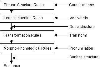 Tranformational grammar stages