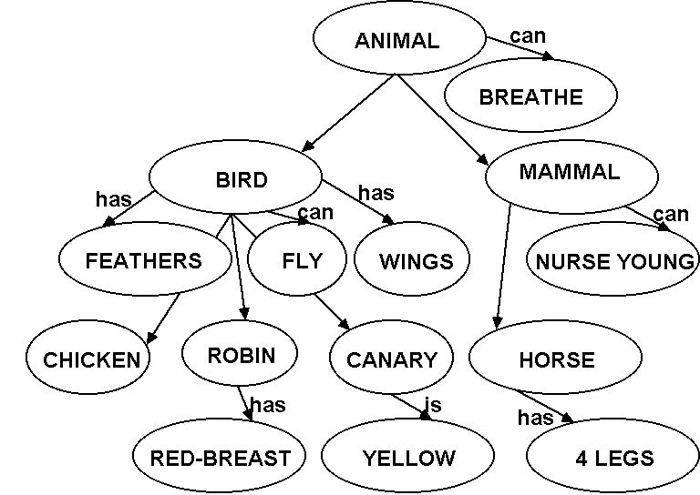 Simple Network