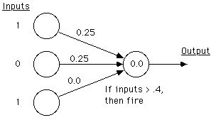 Perceptron in Training