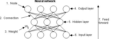 Network