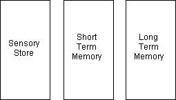 Information processing model