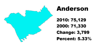 anderson county stats