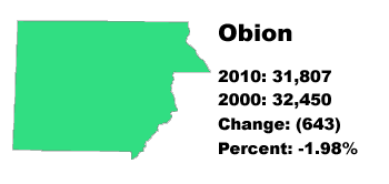 obion county stats