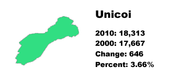 Unicoi County stats