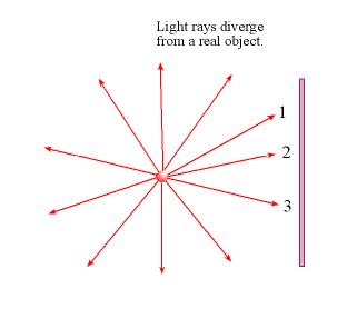 Fig1_0503
